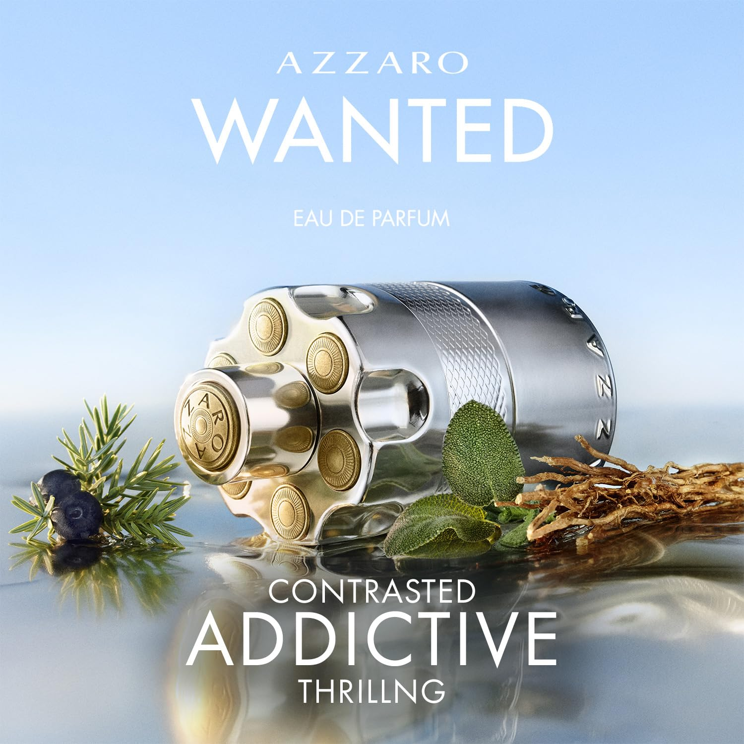 Azzaro The Most Wanted Eau de Toilette 100ml