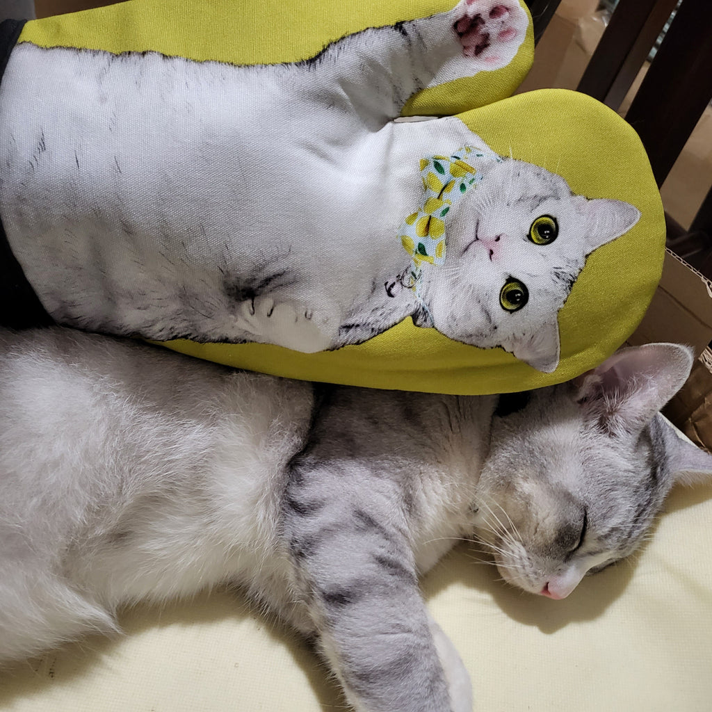 Cat Socrates Oven Mitt