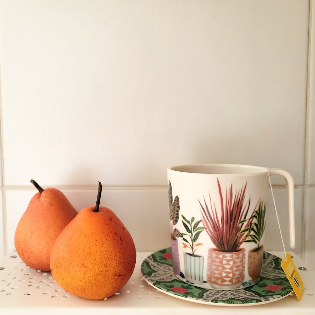 House Plants Bamboo Mug