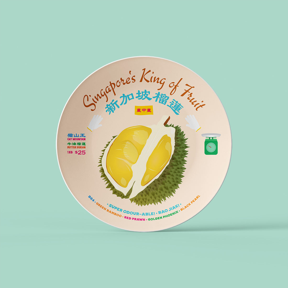 Singapore Food Melamine Plates