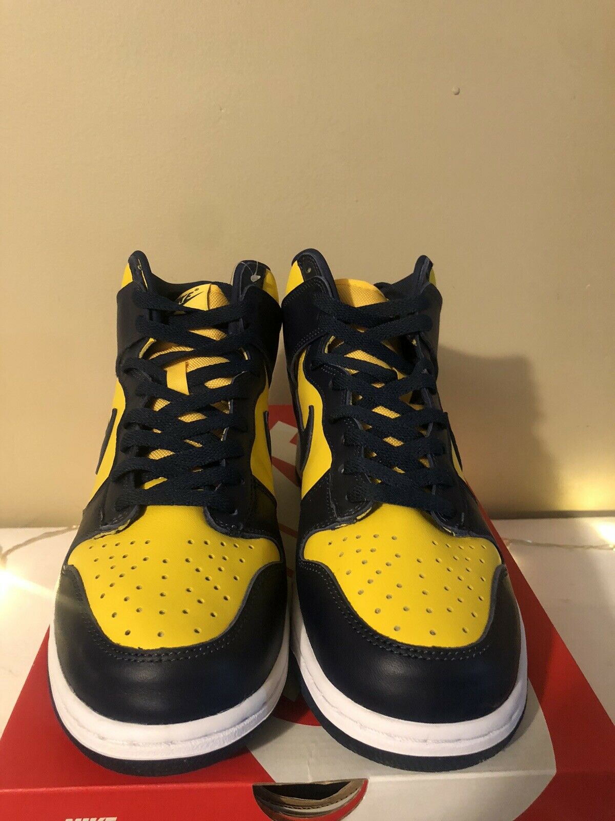 Dunk High SP “Michigan”