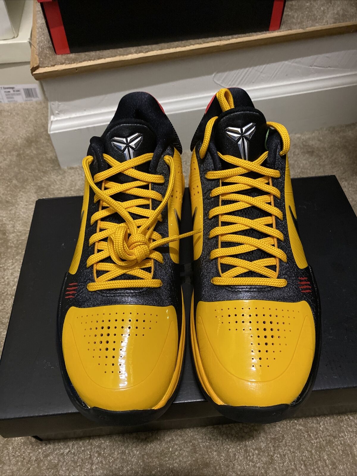 Kobe 5 Protro “Bruce Lee”